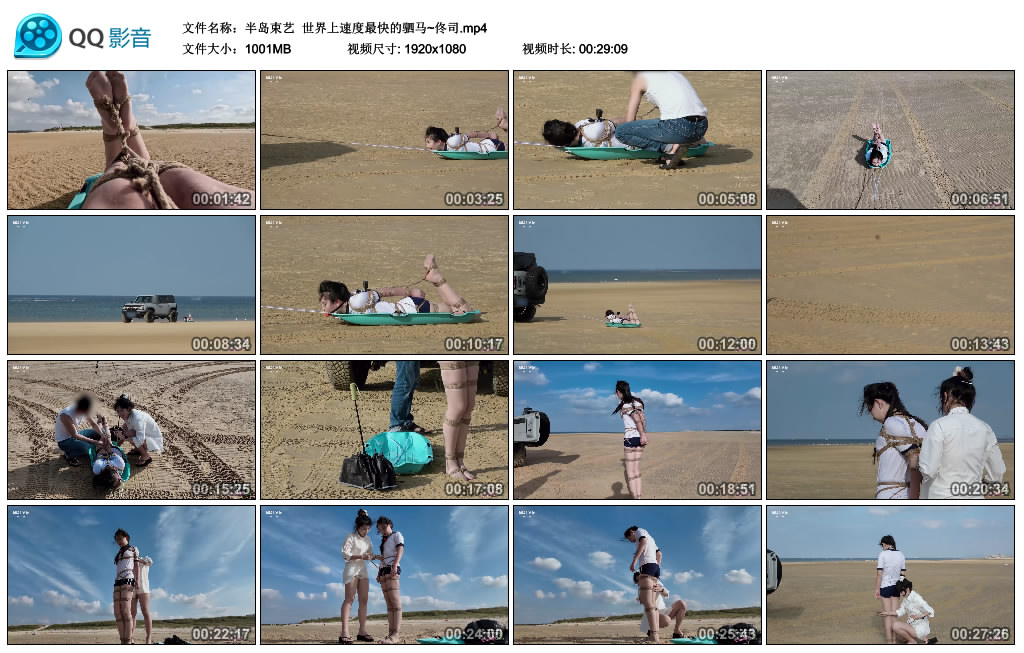 【半岛束艺】世界上速度最快的驷马~佟司_绳艺资料库视频资源下载
