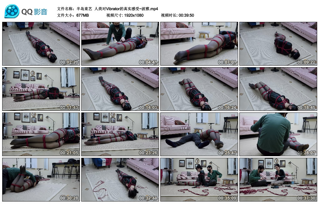 【半岛束艺】 人类对Vibrator的真实感受~波雅_绳艺资料库