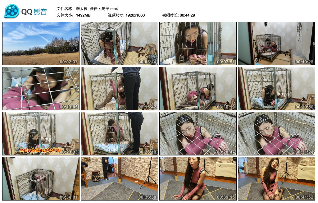 【李大侠】 佳佳关笼子_绳艺资料库视频资源下载