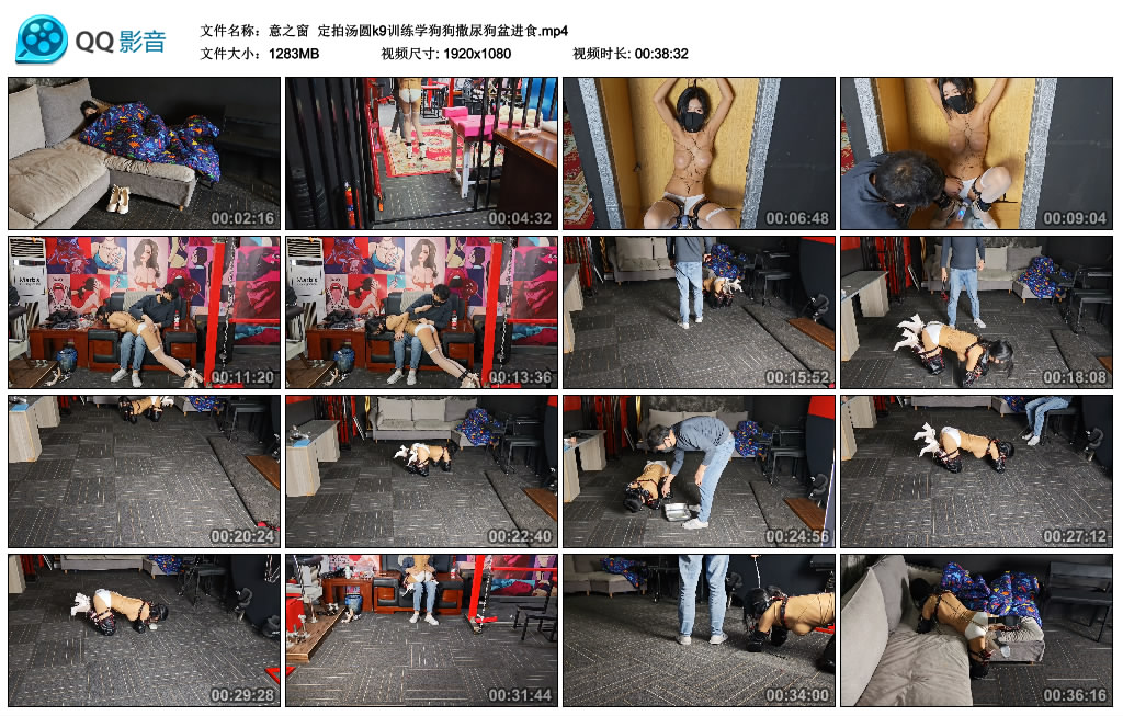 【意之窗】 定拍汤圆k9训练学狗狗撒尿狗盆进食_绳艺资料库视频资源下载