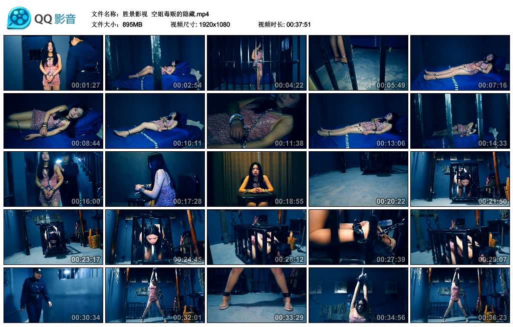 【胜景影视】 空姐毒贩的隐藏_绳艺资料库视频资源下载