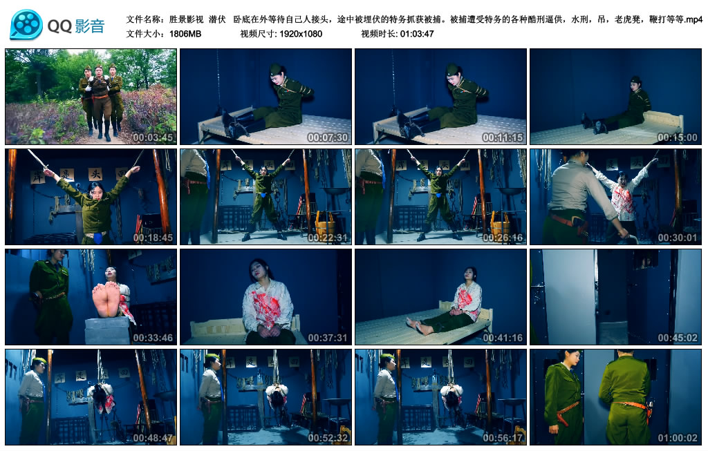 【胜景影视】 潜伏_绳艺资料库视频资源下载