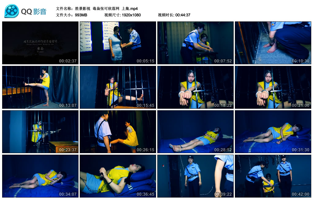 【胜景影视】 毒枭张可欣落网  上集_绳艺资料库视频资源下载