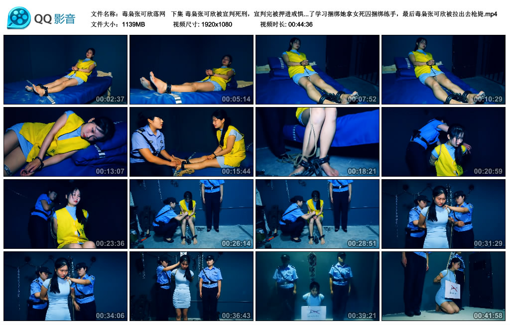 【胜景影视】 毒枭张可欣落网  下集_绳艺资料库视频资源下载