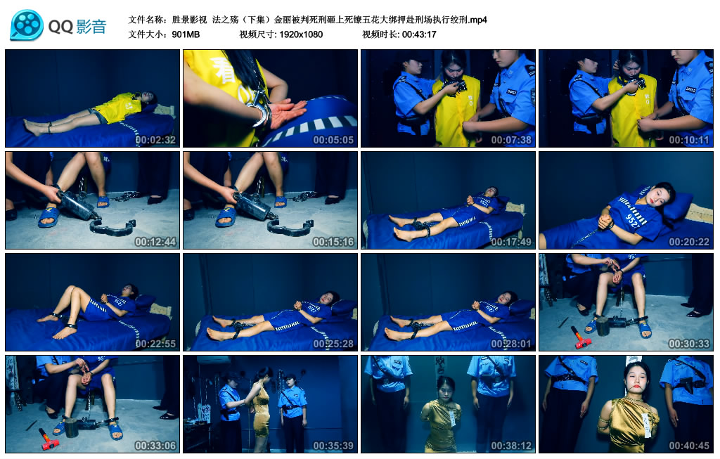 【胜景影视】 法之殇(下集)金丽被判死刑砸上死镣五花大绑押赴刑场执行绞刑_绳艺资料库视频资源下载