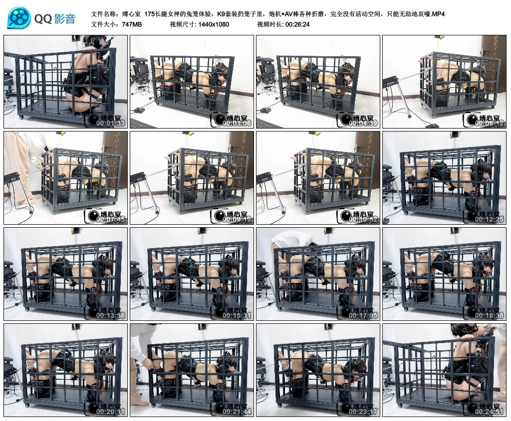【缚心室】175长腿女神的兔笼体验,K9套装扔笼子里,炮机+AV棒各种折磨,完全没有活..._绳艺资料库视频资源下载