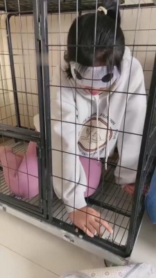 【蜜儿】狗笼里的女闺蜜 bf8274_绳艺资料库视频资源下载