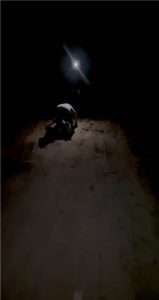 套路直播视频【KK】农村夜路惊遇猥琐男直接制服 JS23030105_绳艺资料库