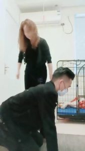 【安静大大】亲母女圈养狗奴虐废【双视角版】 bf20243_绳艺资料库视频资源下载