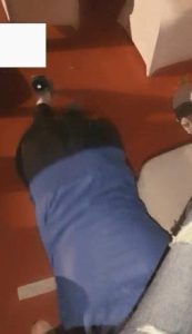 vivi,跨年夜车展遛狗_绳艺资料库