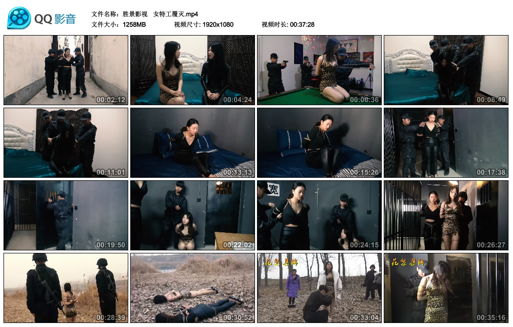 胜景影视 女特工覆灭_绳艺资料库