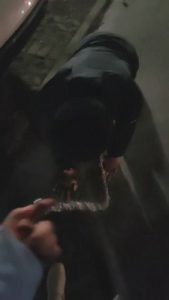 【嫦娥】深夜户外犬化-转胯爬行/长靴踩踏碾压 JS23040902_绳艺资料库