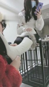【时安】不听话的贱下场 bf4456_绳艺资料库视频资源下载