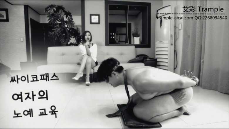 HAN-215 气质美女控制调教_绳艺套路直播视频资源网