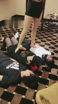 【丹祖宗】三只小狗互相争宠 bf3352_绳艺资料库视频资源下载