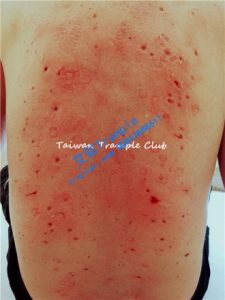 小紫多双高跟踩德国奴_绳艺资料库