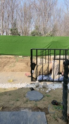 套路直播视频【沅芷大人】15小时囚禁后上刑/圣水/鞭打 bf25577_绳艺资料库