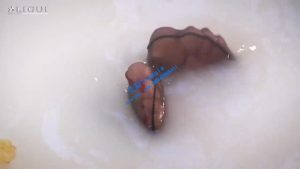 【推荐】性感女神浴缸黑丝美足POV调教_绳艺资料库视频资源下载