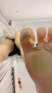 套路直播视频【芃芃大人】女巨人视角踩小人 bf26505_绳艺资料库