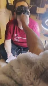 【双子姬】喜欢舔脚的老板 bf10102_绳艺资料库视频资源下载