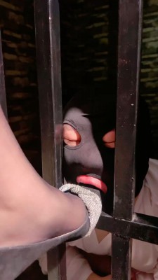 【莉莉丝】刑房囚禁狗狠抽逼供【双视角完整版】 bf22462_绳艺资料库视频资源下载
