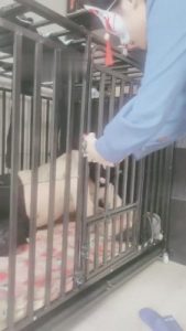 【千梦】我哥偷我袜子被逮住【下】 bf6530_绳艺资料库视频资源下载