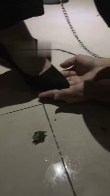 【伊妮S】开发素人做狗 bf22022_绳艺资料库