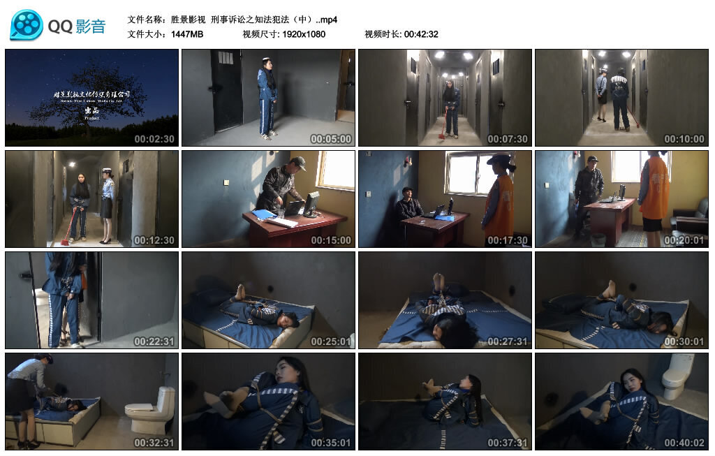 【胜景影视】刑事诉讼之知法犯法（中）_绳艺套路直播视频资源网