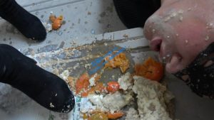 【冷柔】楼道靴子喂食超脏食物_绳艺资料库视频资源下载