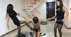 冷柔瑶瑶双主花样暴虐老贱狗_绳艺资料库