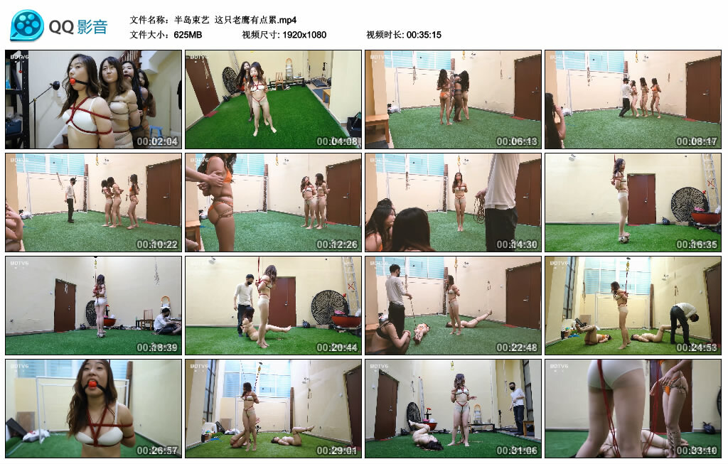 【半岛束艺】这只老鹰有点累_绳艺套路直播视频资源网