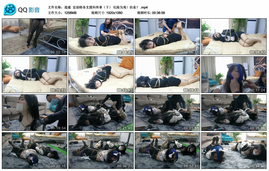 【逍遥】定拍特务支援科终章（下） 化险为夷！但是？_绳艺套路直播视频资源网