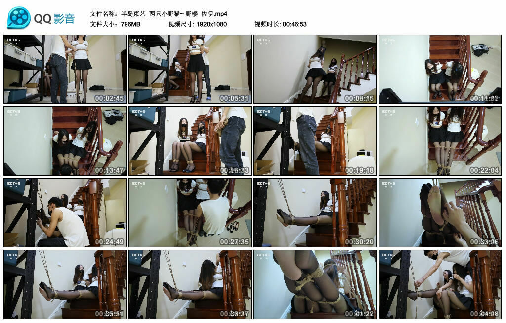 【半岛束艺】两只小野猫~ 野樱 佐伊_绳艺套路直播视频资源网