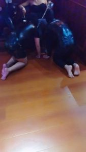【药神】多只狗狗争抢舔脚 bf20480_绳艺资料库视频资源下载