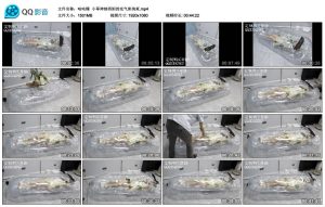【咕咕精】小草神纳西妲的充气床拘束_绳艺资料库视频资源下载