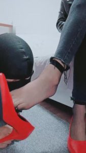 【bibi】酸臭丝袜脚是狗狗的最爱 bf10378_绳艺资料库