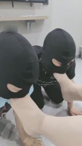 【心甜夫妻】双狗争宠现场 bf14404_绳艺资料库视频资源下载