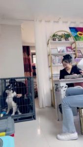 套路直播视频【二宝】真实-美甲店当着技师的面玩狗/关狗笼/强迫喝洗脚水 bf25638_绳艺资料库