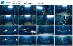 【胜景影视】特战出击（下集）_绳艺套路直播视频资源网