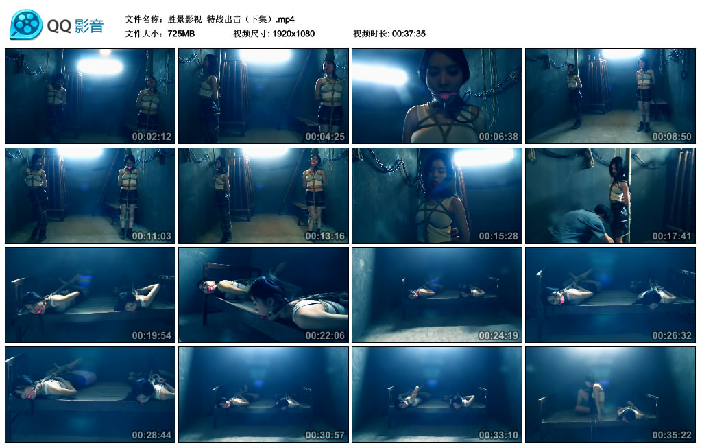 【胜景影视】特战出击（下集）_绳艺套路直播视频资源网