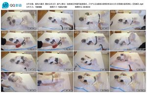 【鹿角与猫爪】塑封白丝女仆 抽气~挣扎!绝对真空绝闷_绳艺资料库视频资源下载