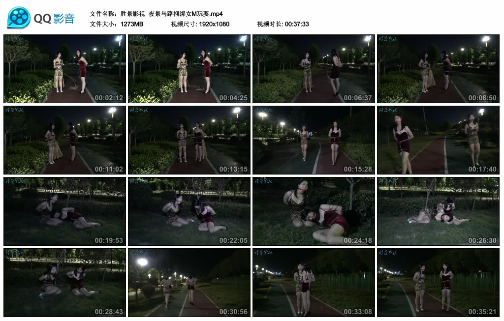【胜景影视】夜景马路捆绑女M玩耍_绳艺资料库视频资源下载
