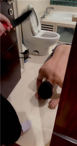 套路直播视频【悠悠大S】马桶水洗狗  JS23030117_绳艺资料库