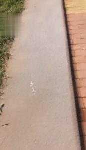 冷柔户外调_绳艺资料库