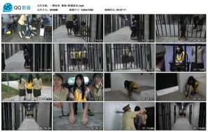 【一绳有你】情殇~新模陈语_绳艺资料库视频资源下载
