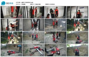 【mj影视】毒枭姐妹花_绳艺资料库视频资源下载