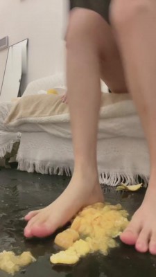 【香菜】狗狗养成计划-踩踏食物【下】 bf3822_绳艺资料库视频资源下载
