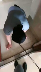 【猫神大人】马术S溜家奴转胯/虐乳闻棉袜 bf27899_绳艺资料库视频资源下载