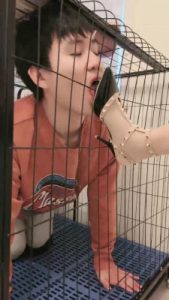 【安静/陌初】带闺蜜踩踏耳光舔鞋狗【双视角版】_绳艺资料库