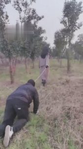 【药神】户外遛狗骑马活埋 bf5278_绳艺资料库视频资源下载